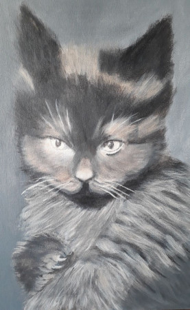 Schwarze Katze 2019 30cm x 40cm